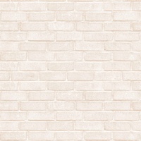 articul-A105656