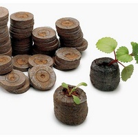 A144684 articul-A144684