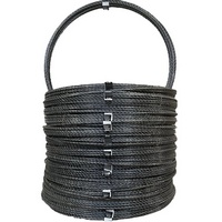 A159717 articul-A159717