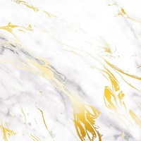 A214074 articul-A214074