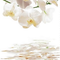 A248420 articul-A248420