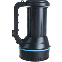 articul-A295173