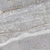 articul-A302877