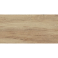 articul-A304572