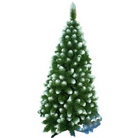 A31584 articul-A31584