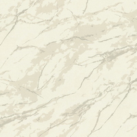 articul-A336234