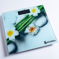 A54267 articul-A54267