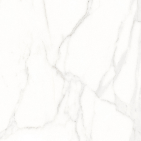 articul-A224479