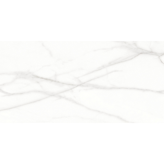 articul-A304350