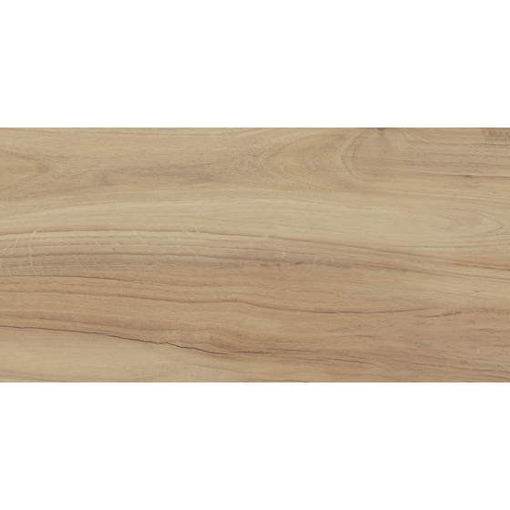 articul-A304572