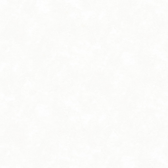 articul-A335988